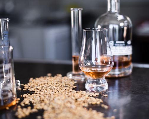 Whisky & Cheese Pairing Class at The Providore