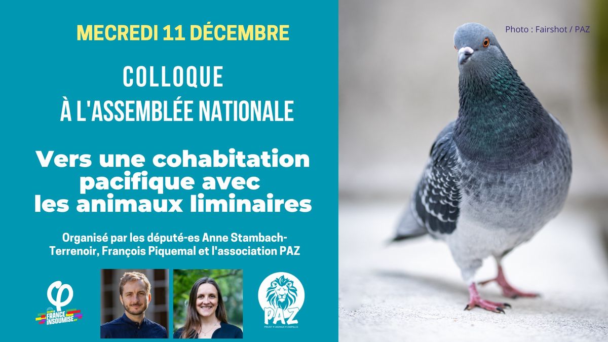 Colloque \u00e0 l'Assembl\u00e9e nationale : \u00ab Vers une cohabitation pacifique avec les animaux liminaires \u00bb