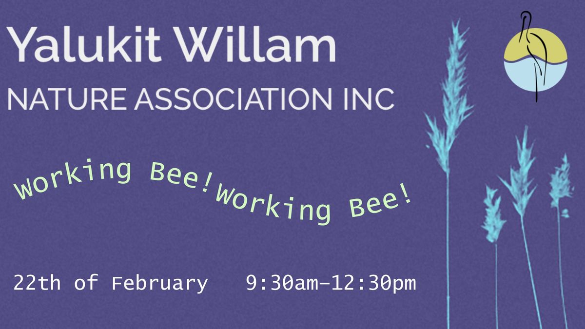 February Working Bee 