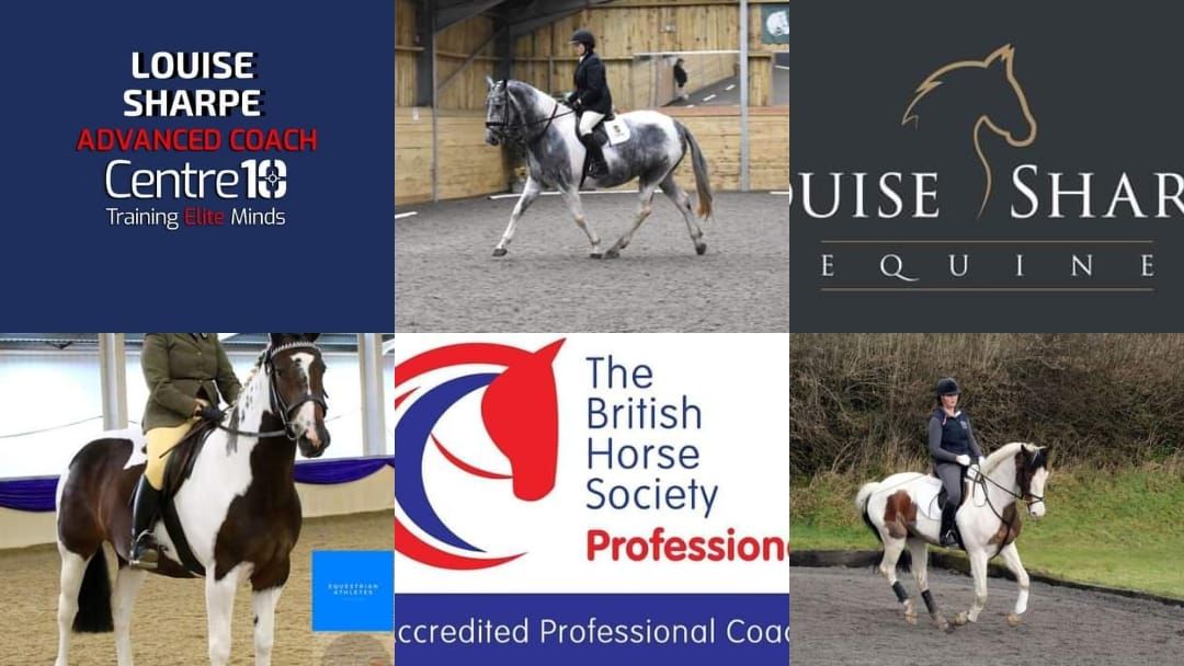 Arena XC training with Louise Sharpe BHS Accredited Professional Coach level 4 eventing 