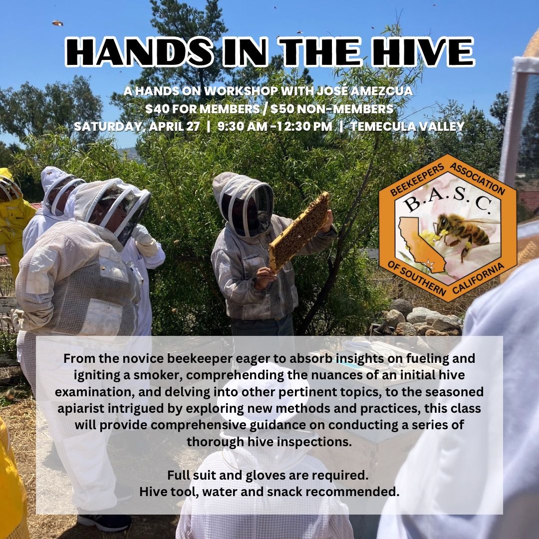 Hands in the Hive - Hive Inspections Workshop 