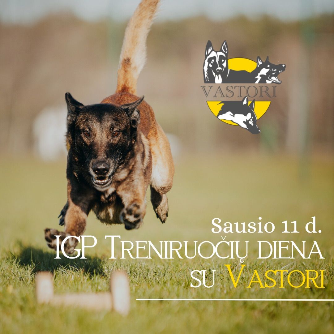 Treniruo\u010di\u0173 diena IGP su Vastori