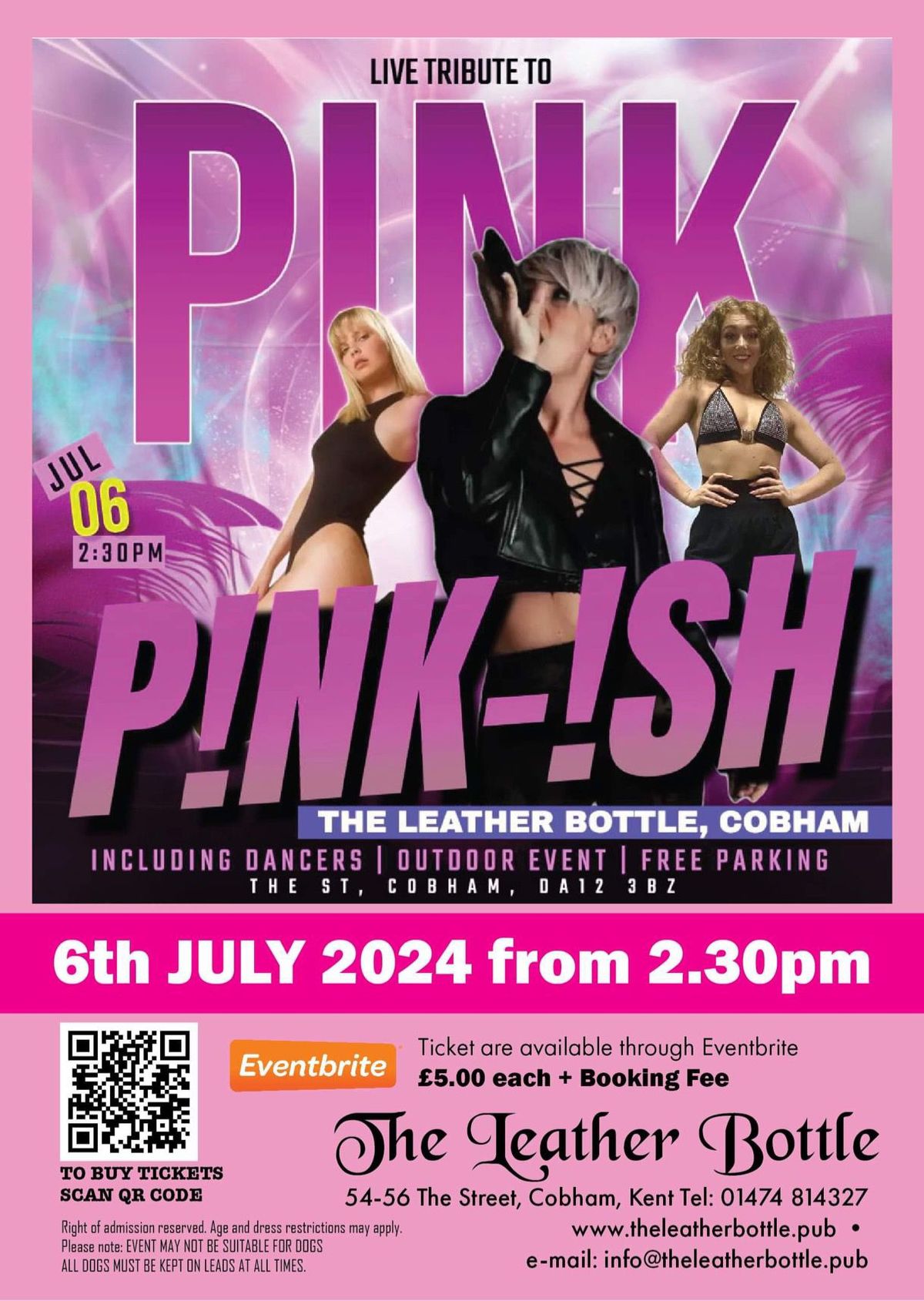 P!NK- !SH - LIVE TRIBUTE TO PINK 