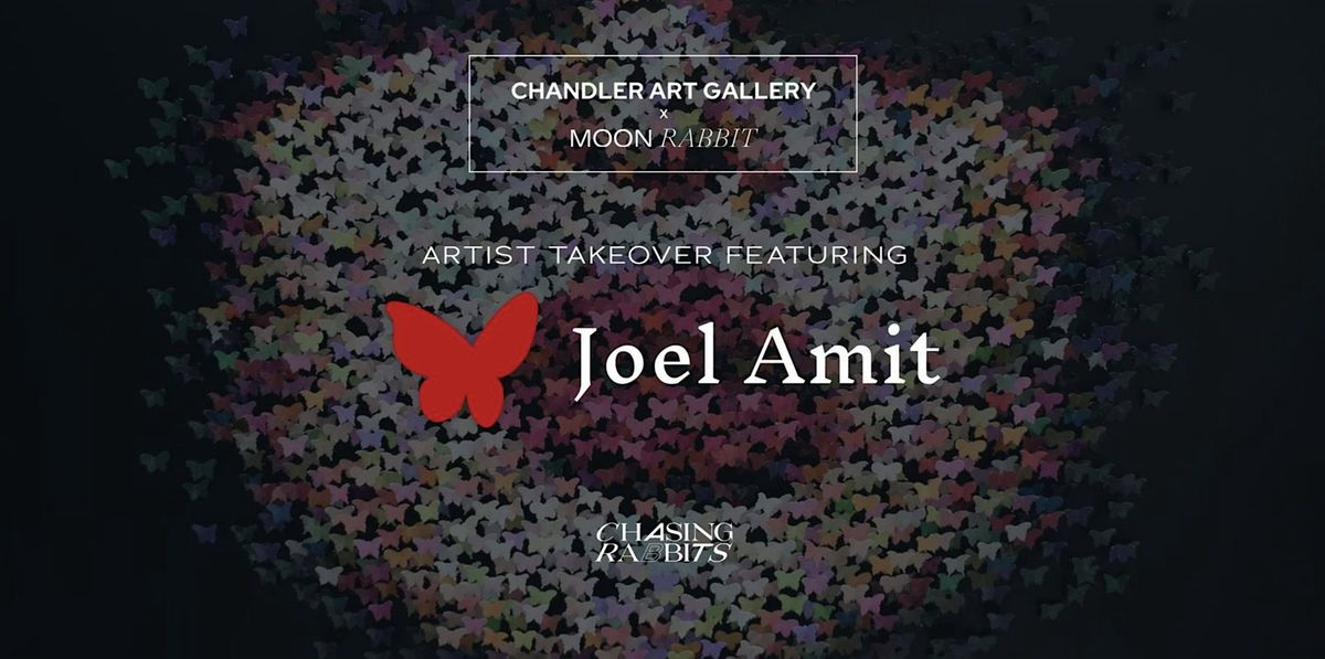 Joel Amit Artist Takeover