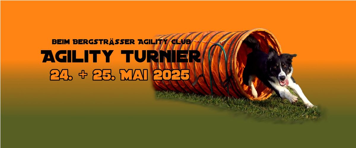 Agility Turnier - geteilt -