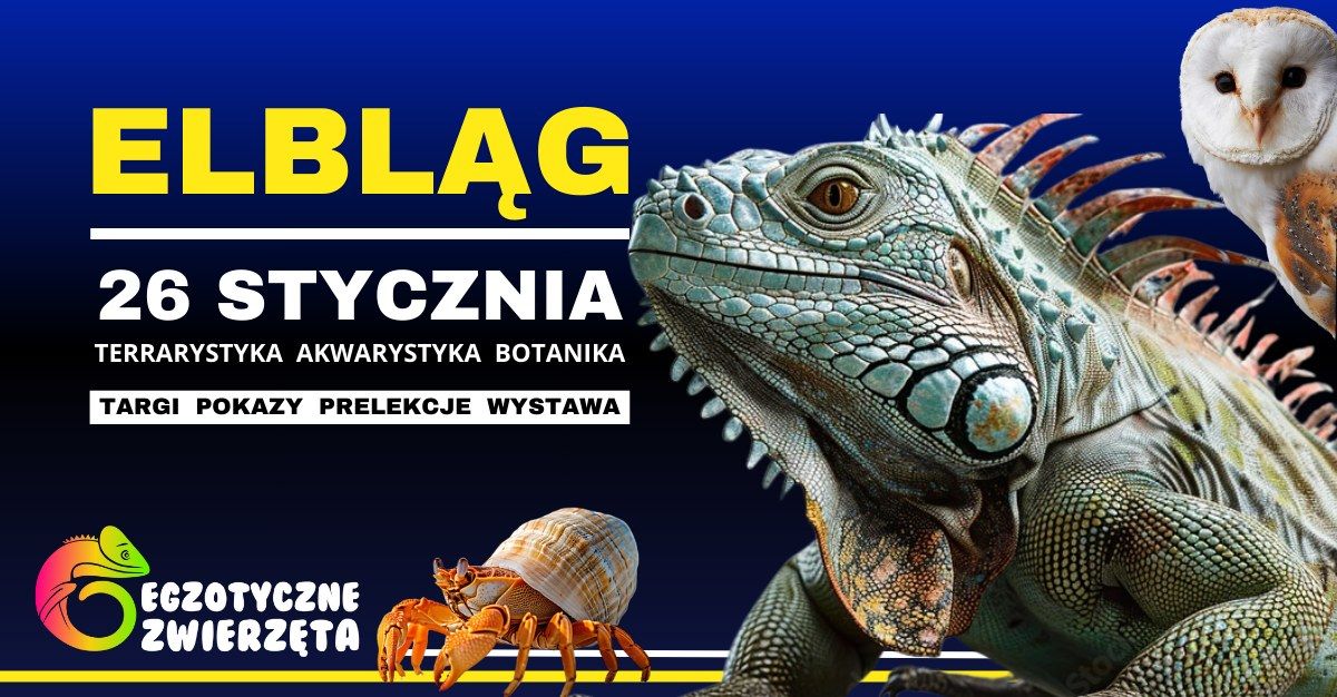 ELBL\u0104G 26 STYCZNIA - EGZOTYCZNE ZWIERZ\u0118TA  - TERRARYSTYKA AKWARYSTYKA BOTANIKA