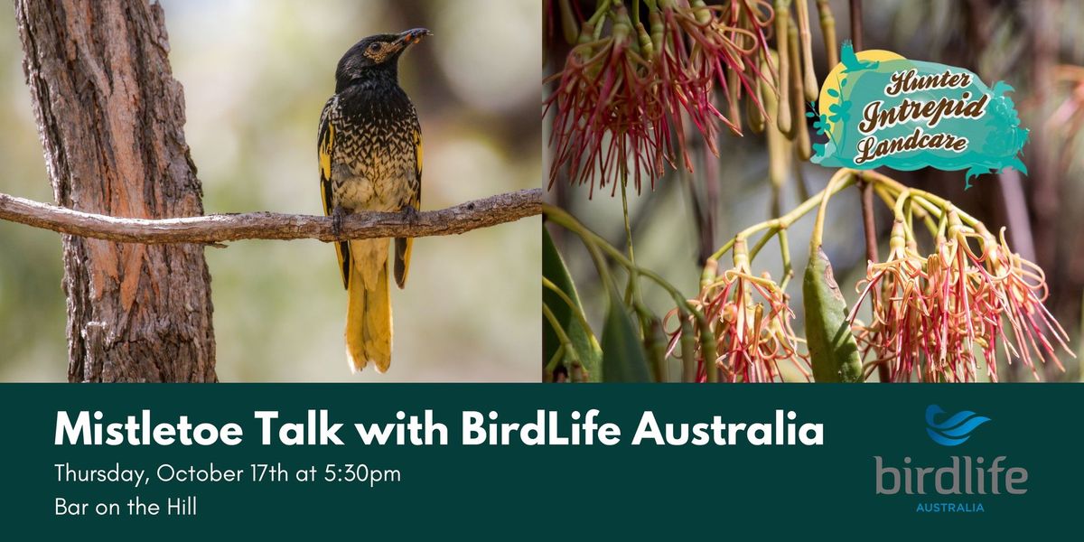 Mistletoe Talk with BirdLife Australia