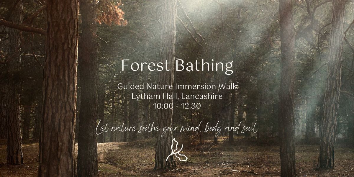 Forest Bathing Experience at Lytham Hall