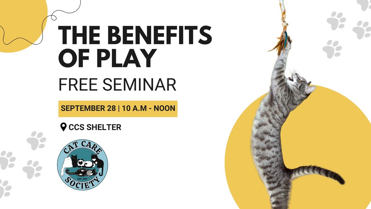 Free Seminar: The Benefits of Play