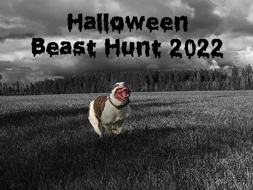 Halloween Beast Hunt 2022 Palokinselk FI 76850 Naaraj rvi Suomi halloween-beast-hunt-2022-palokinselk-fi-76850-naaraj-rvi-suomi