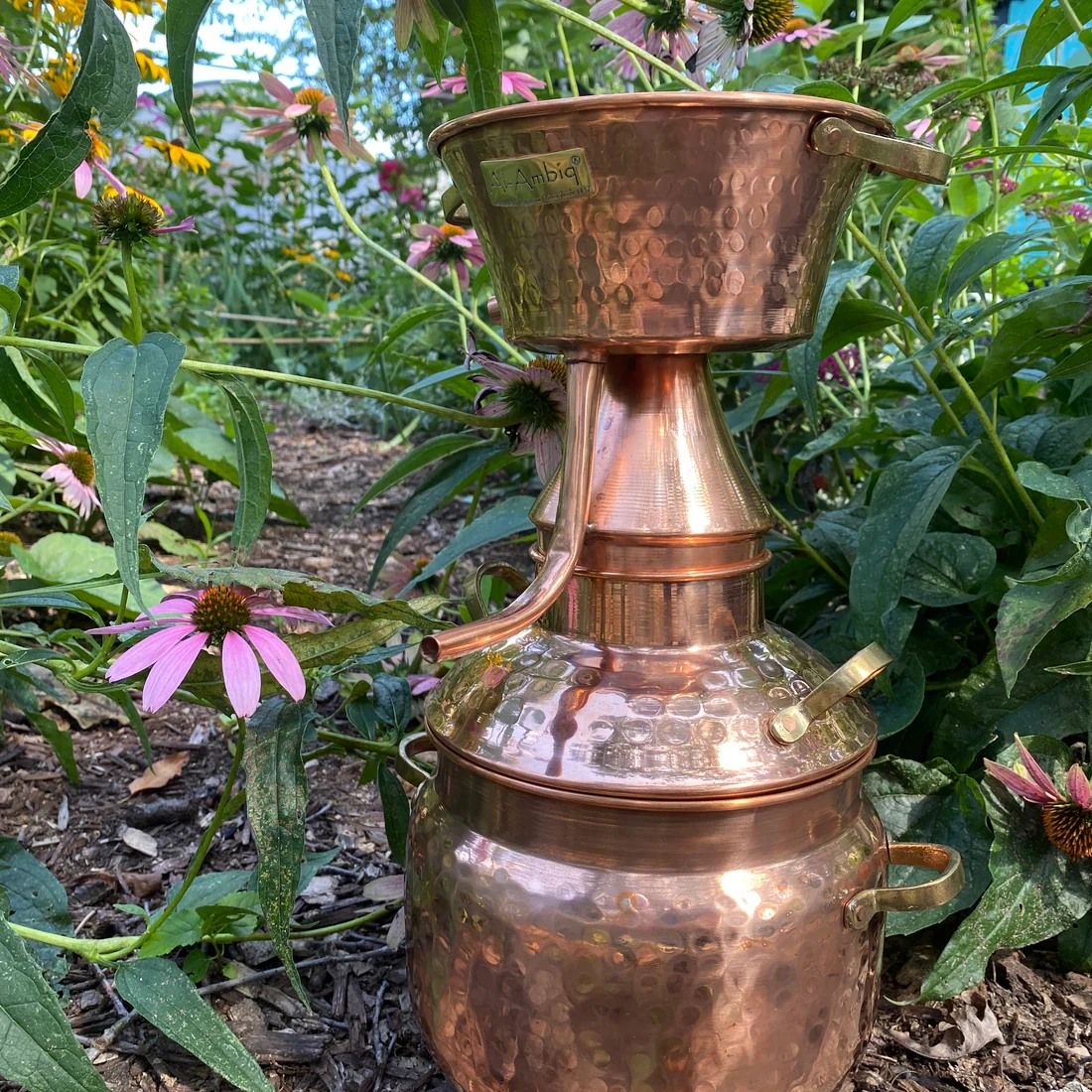 Distilling herbs and Flowers class