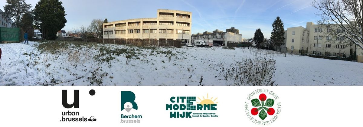 Atelier participatif de plantation de fruitiers dans le cadre du CQD Cit\u00e9 Moderne \u00e0 Berchem