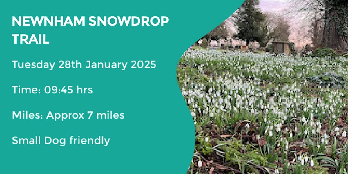 THE NUTTERY SNOWDROPS WALK | 7 MILES | MODERATE | NORTHANTS