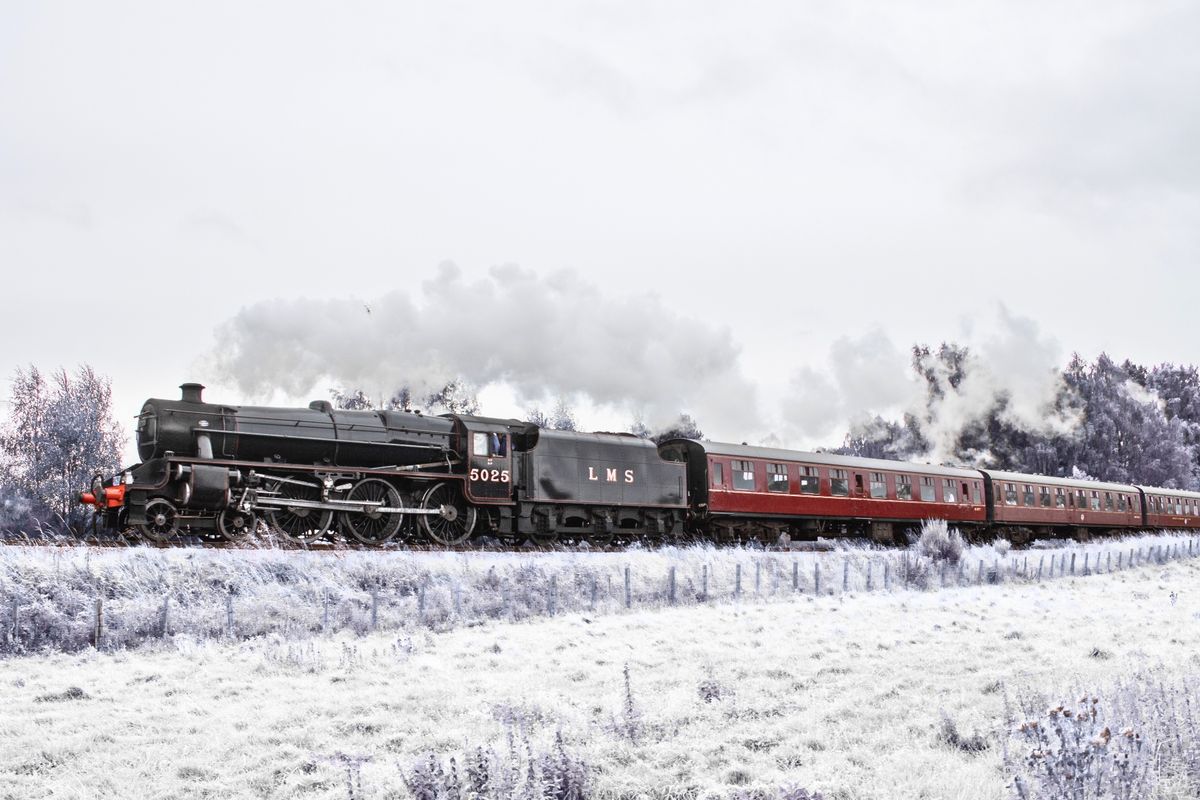 Mince Pie Specials - Highland Heritage Railway Experience