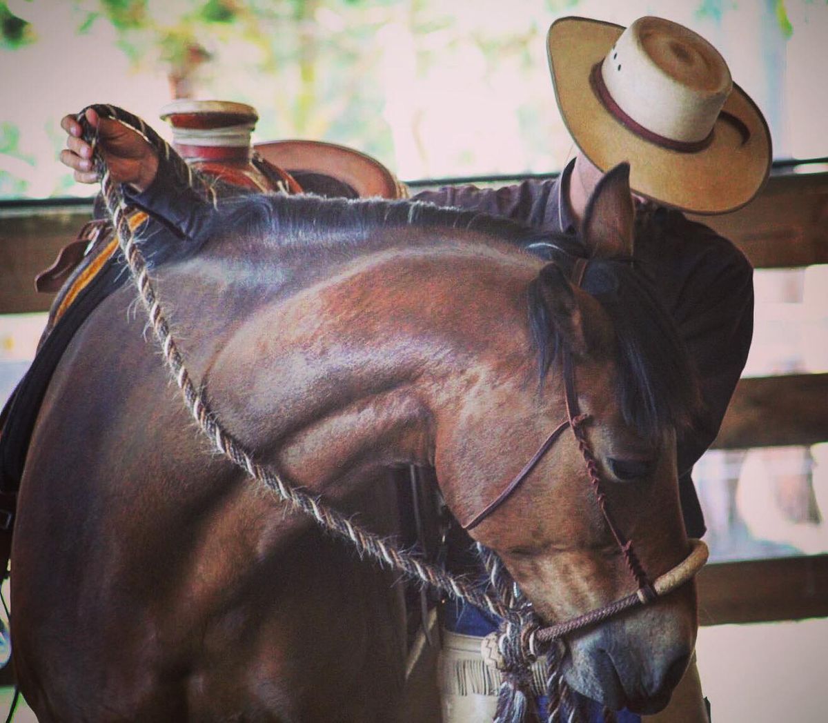 3 Day Vaquero Clinic, Napa Valley, California