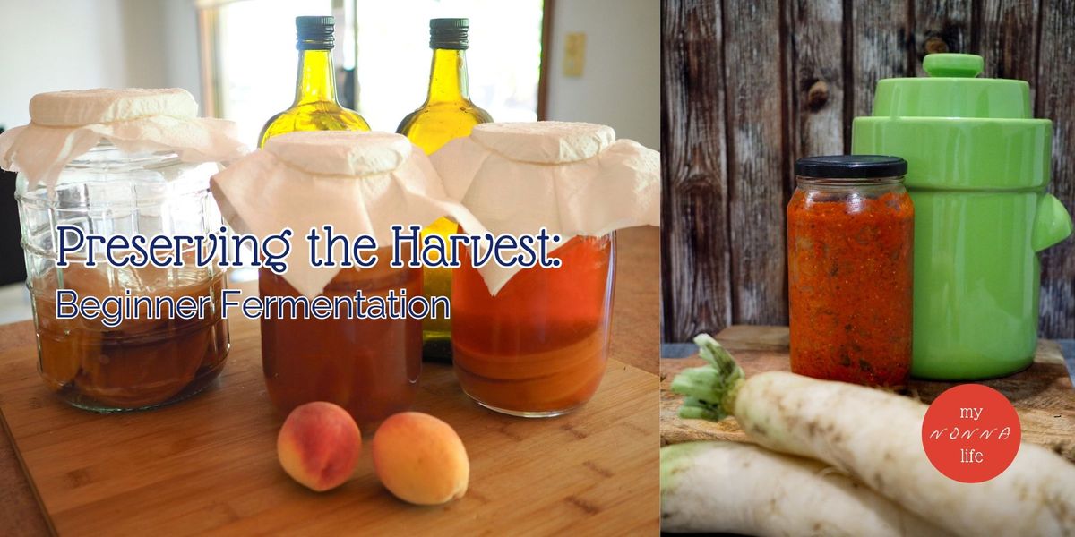 Preserving the Harvest: Beginner Fermentation