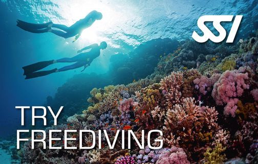 Try Freediving & Discover Freediving