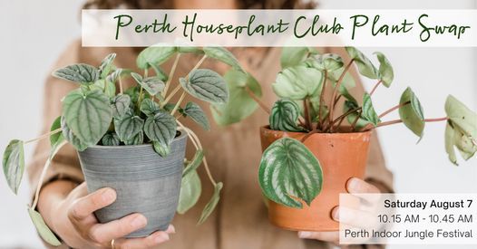 Perth Houseplant Club Plant Swap