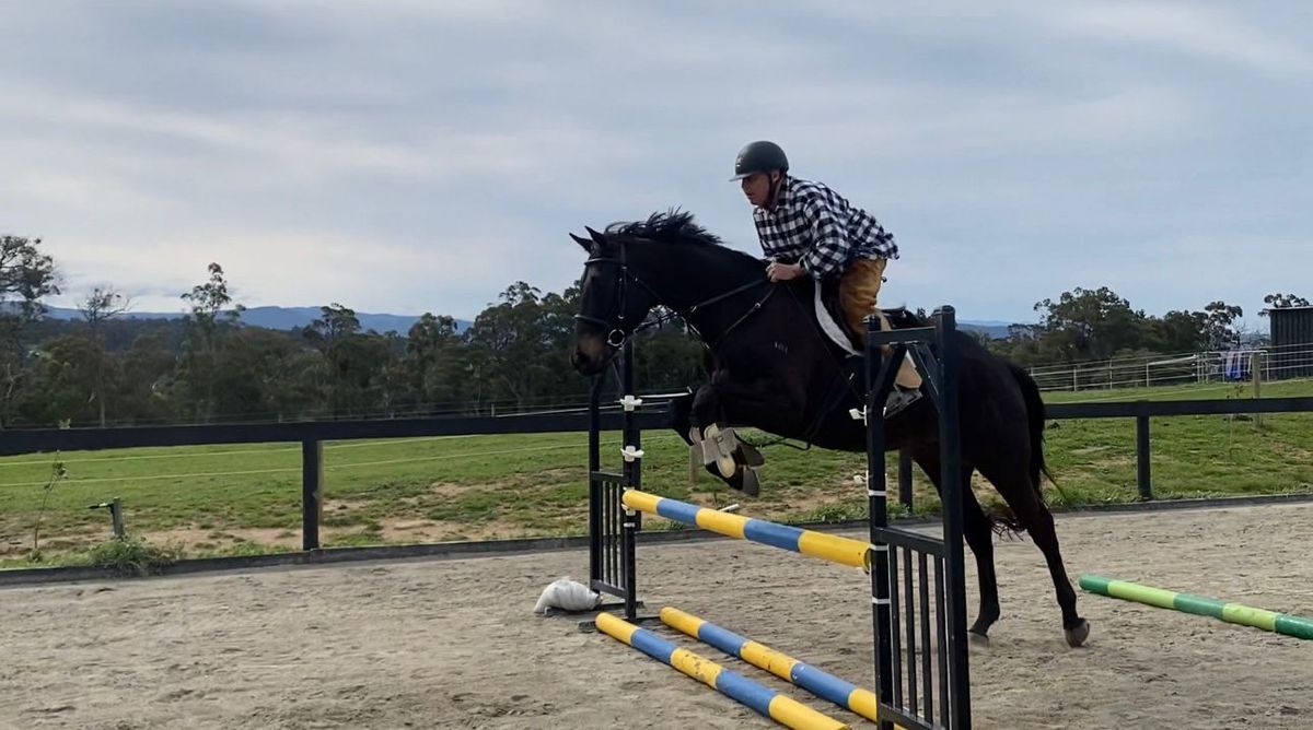 Laurie Lever showjumping clinic