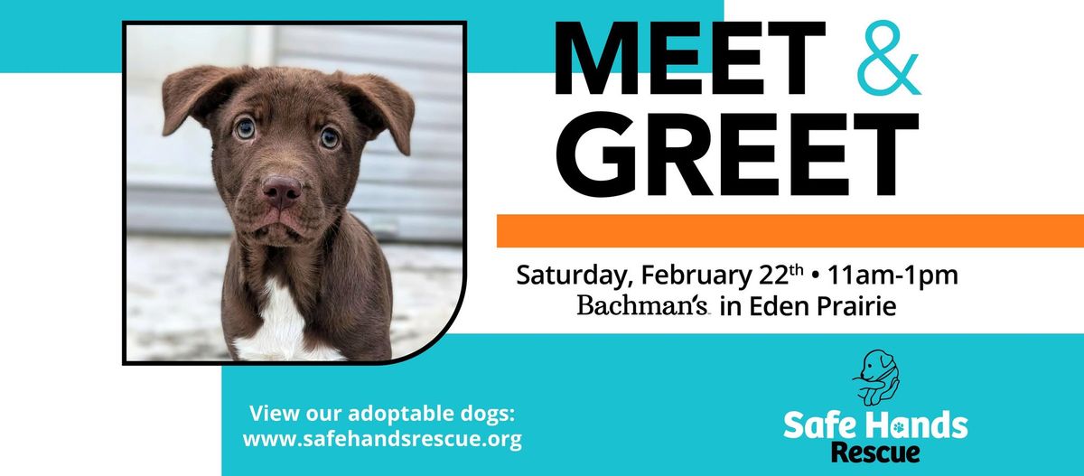 Safe Hands Rescue Meet & Greet at Bachman's (Eden Prairie)