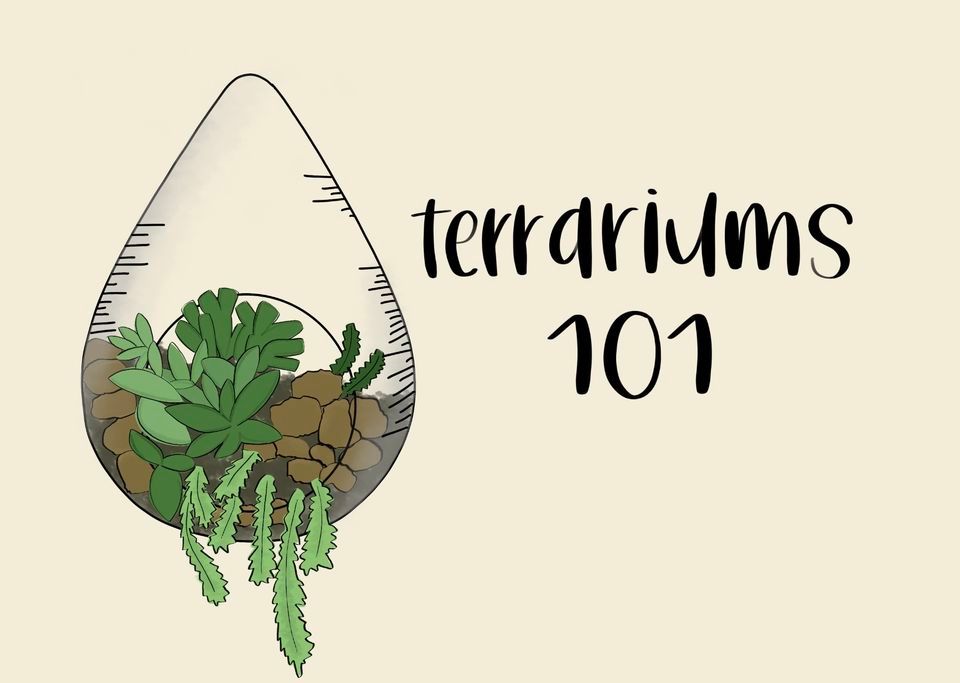 Terrariums 101