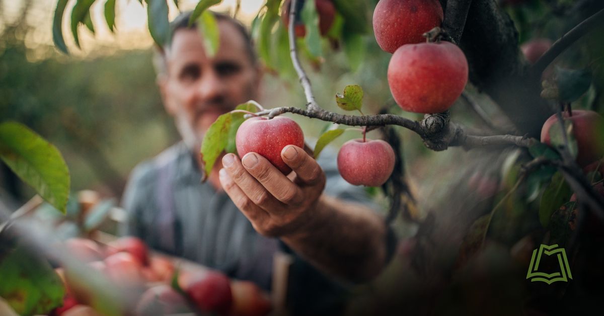 Master Gardener Series: Backyard Apples