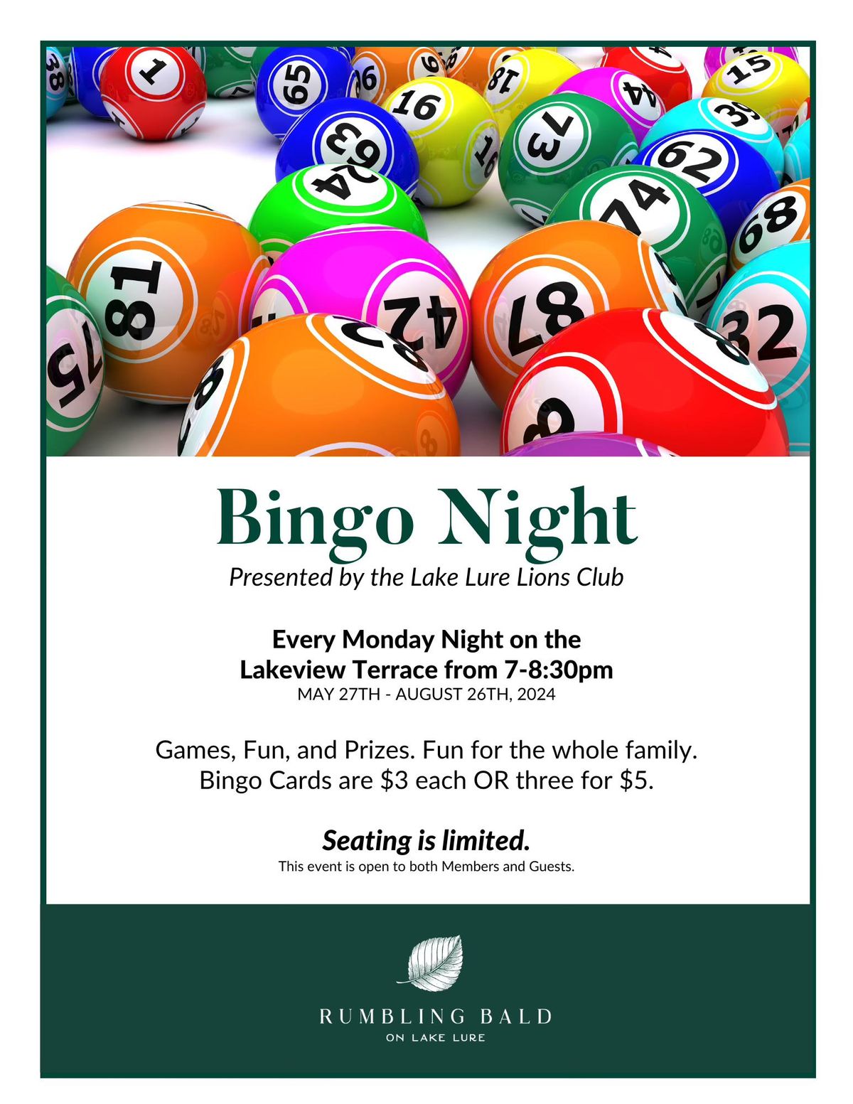 Bingo Night presented by the Lions Club