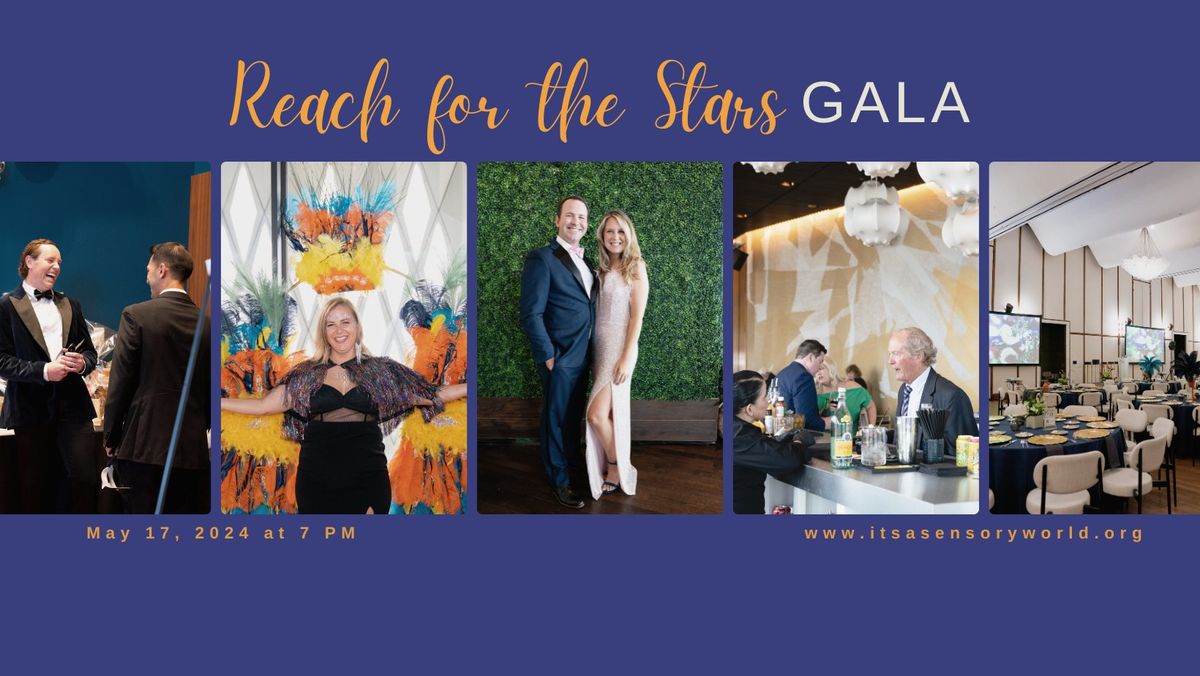 Reach for the Stars Fundraising Gala