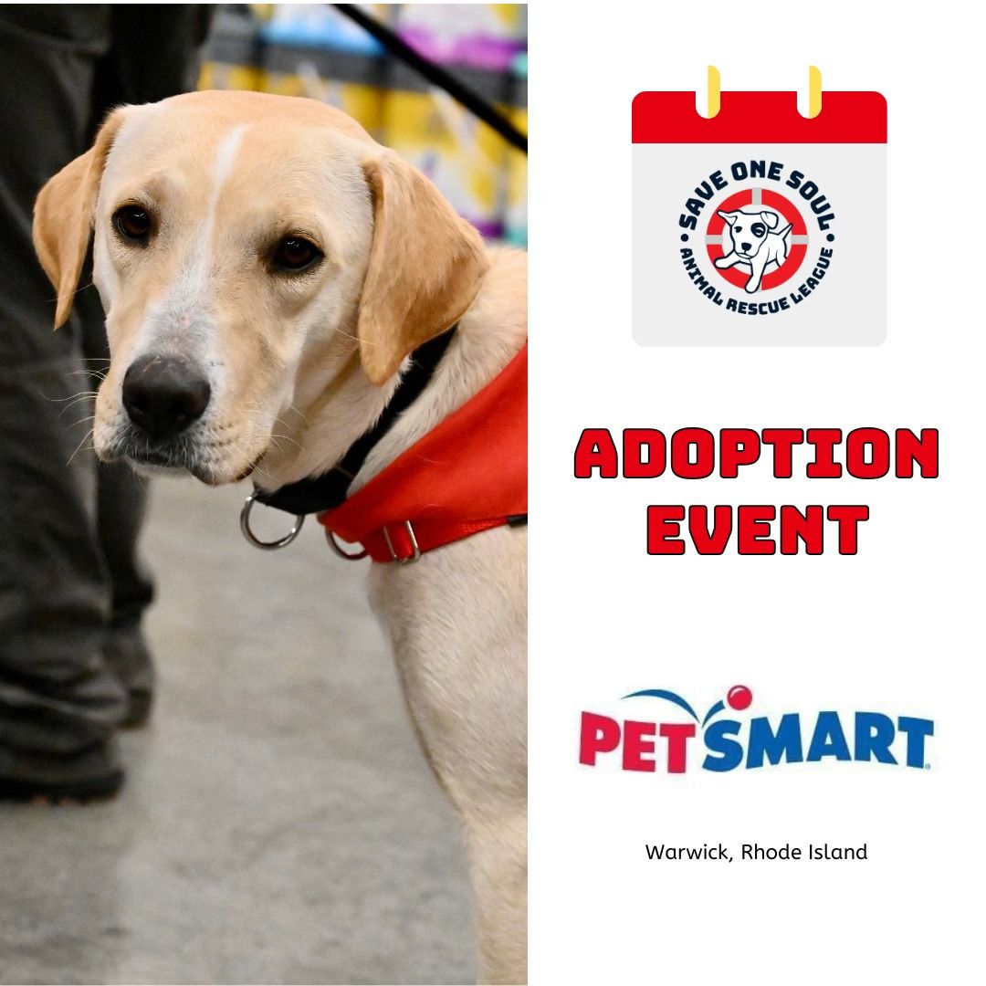 Adoption Event @ PetSmart Warwick