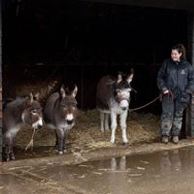 Raystede Centre for Animal Welfare