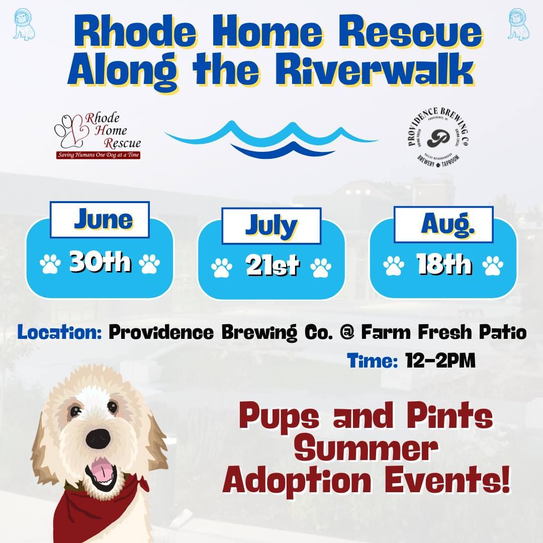 RHR X Providence Brewing Co ADOPTION EVENT!