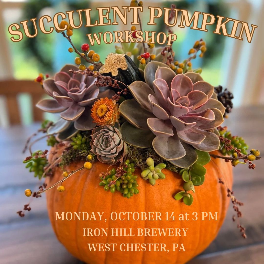 Succulent Pumpkin Workshop at Iron Hill Brewery in West Chester, PA