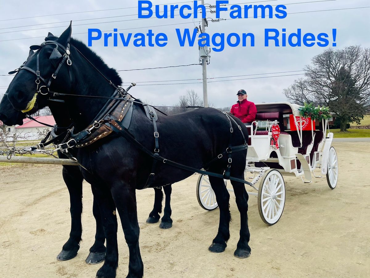 Burch Farms Private Carriage Rides 