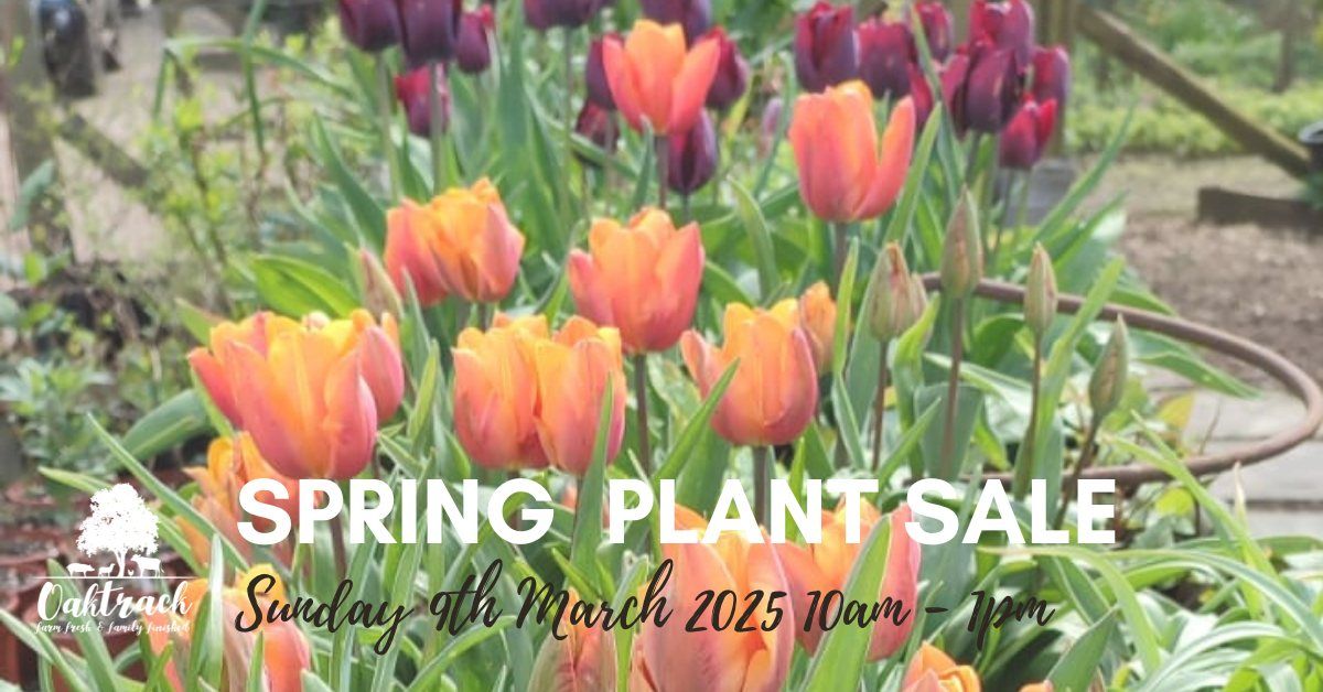 Spring Plant Sale