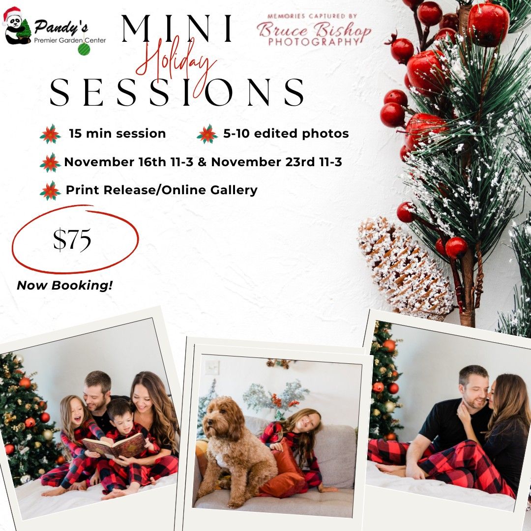 Holiday Mini Sessions with Bruce Bishop Photography