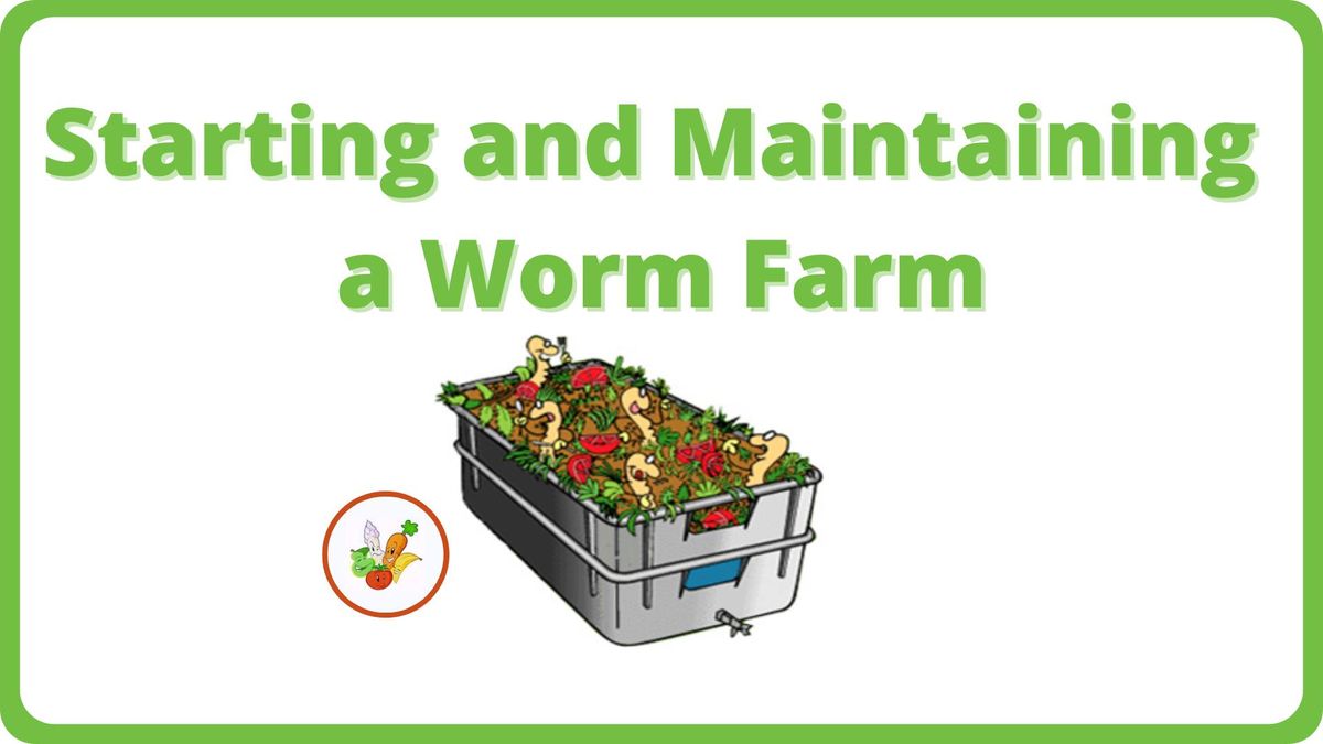 Starting and Maintaining a Worm Farm