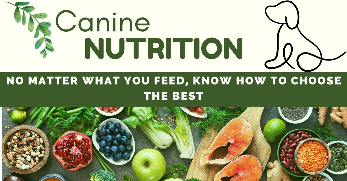 Canine Nutrition