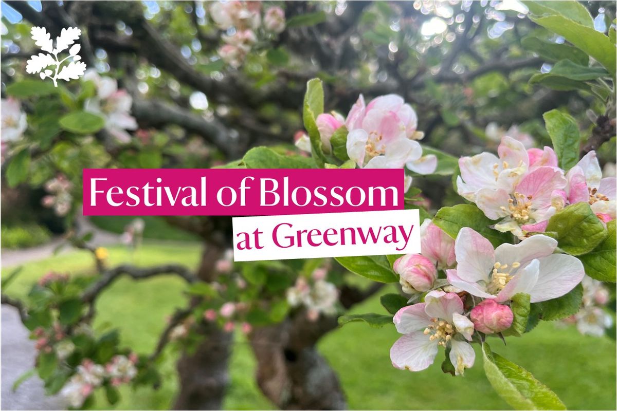 Festival of Blossom at Greenway