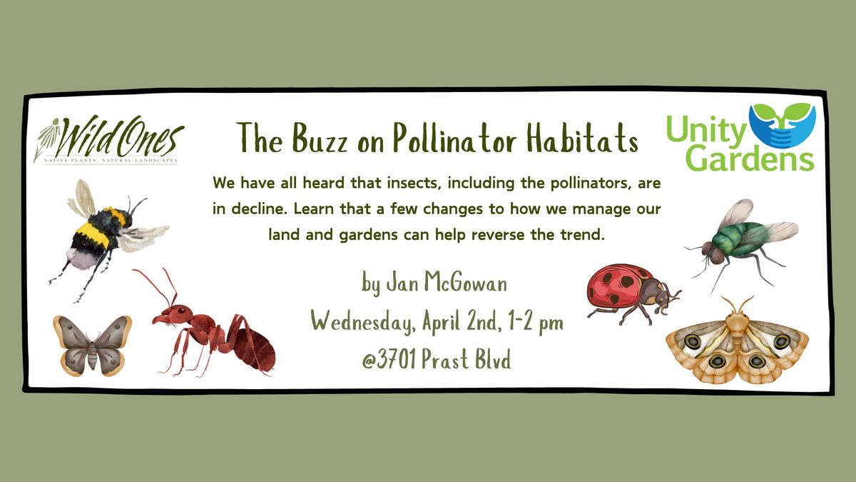 The Buzz on Pollinator Habitats