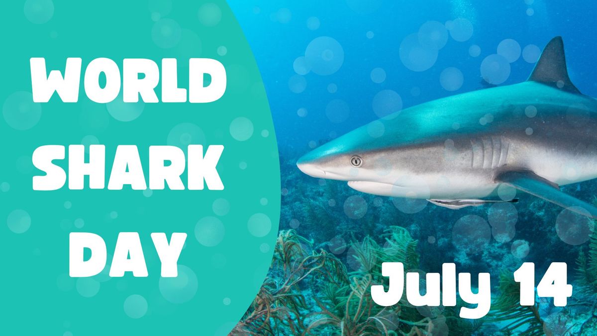 World Shark Day