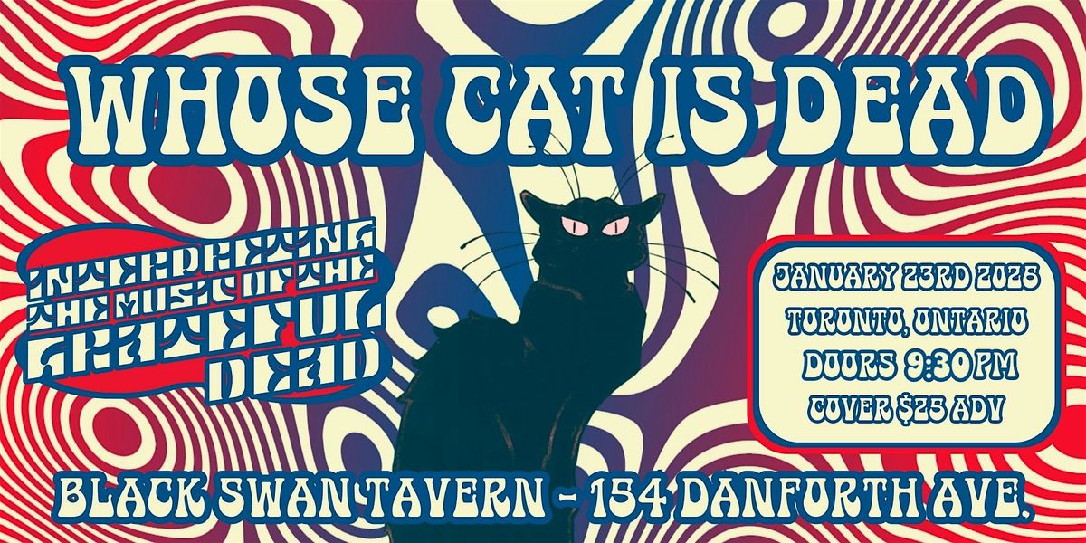 Whose Cat is Dead: Grateful Dead jams in Toronto