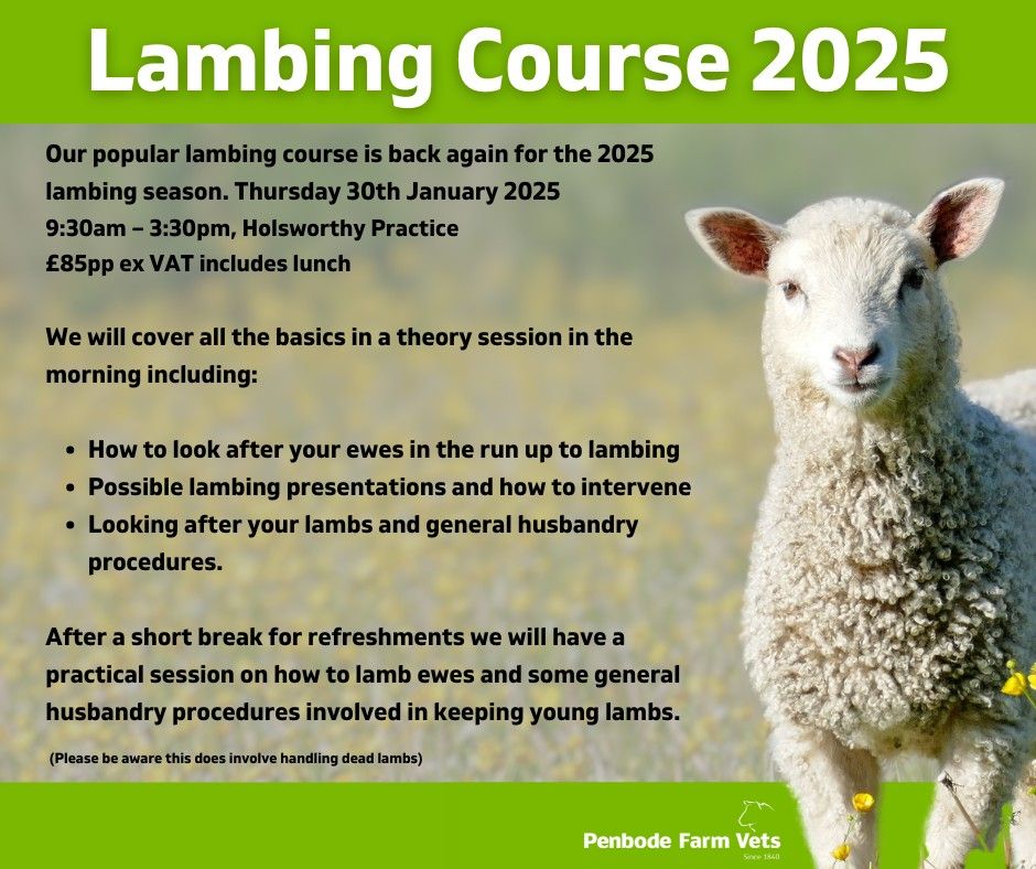 Lambing Course