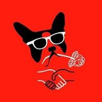 Boston Democratic Socialists of America