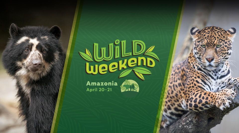 Wild Weekend: Amazonia