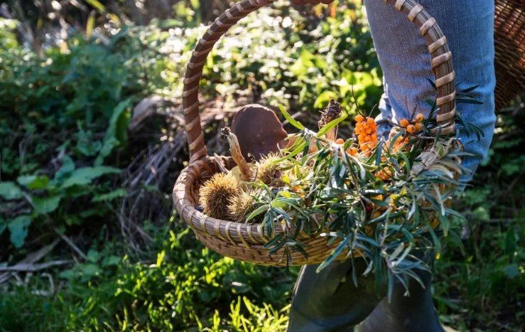 Foraging Class