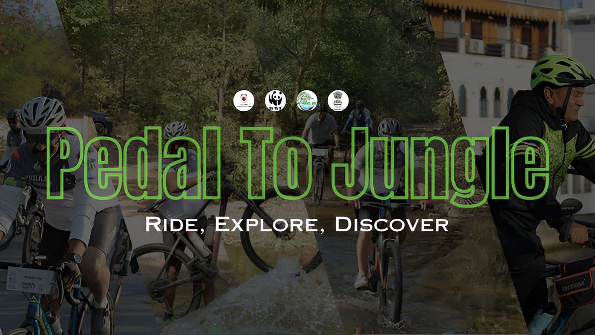 Pedal to Jungle - 8th Edition