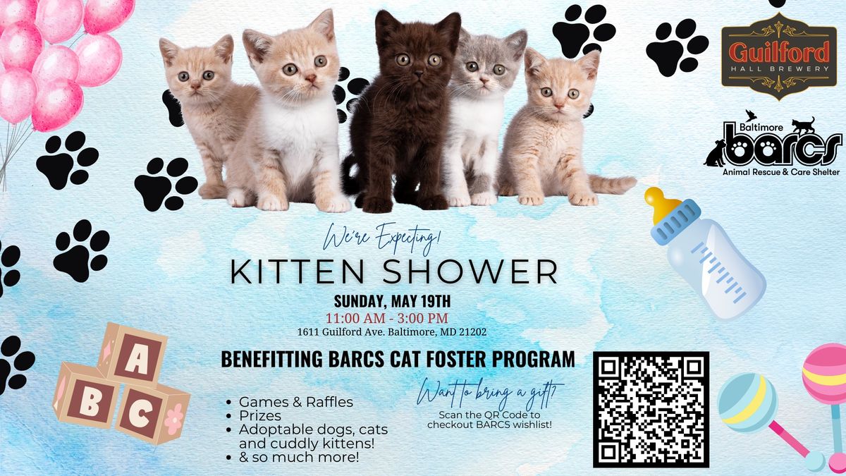Kitten Shower to Benefit BARCS Animal Shelter