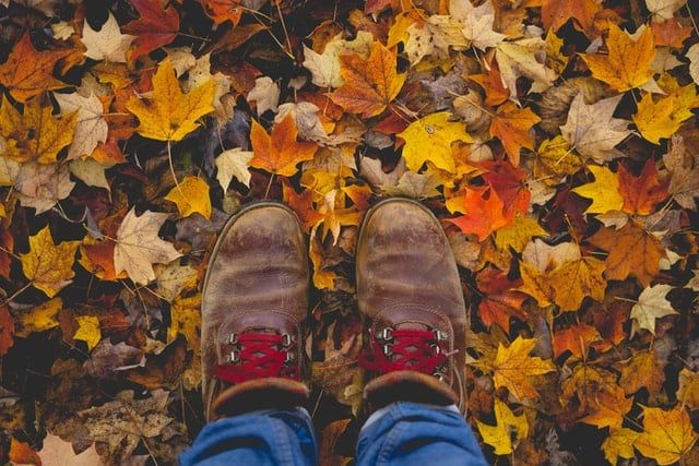 Tamworth- Autumn Walks At Kingsbury Water Park- Make New Friends Meet Up