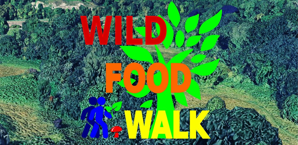 December Sea Mills (Bristol) Wild Food Foraging\/ Forager Walk.