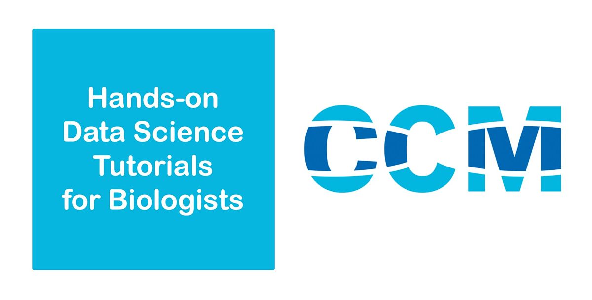 Affordable Data Storage for Research: How iRODS on HPC Can Help